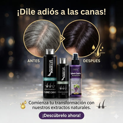 Shampoo cubre canas Secreto de angeles + revitalizante